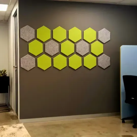 Custom Acoustic Treatment for Client-Centric Office 