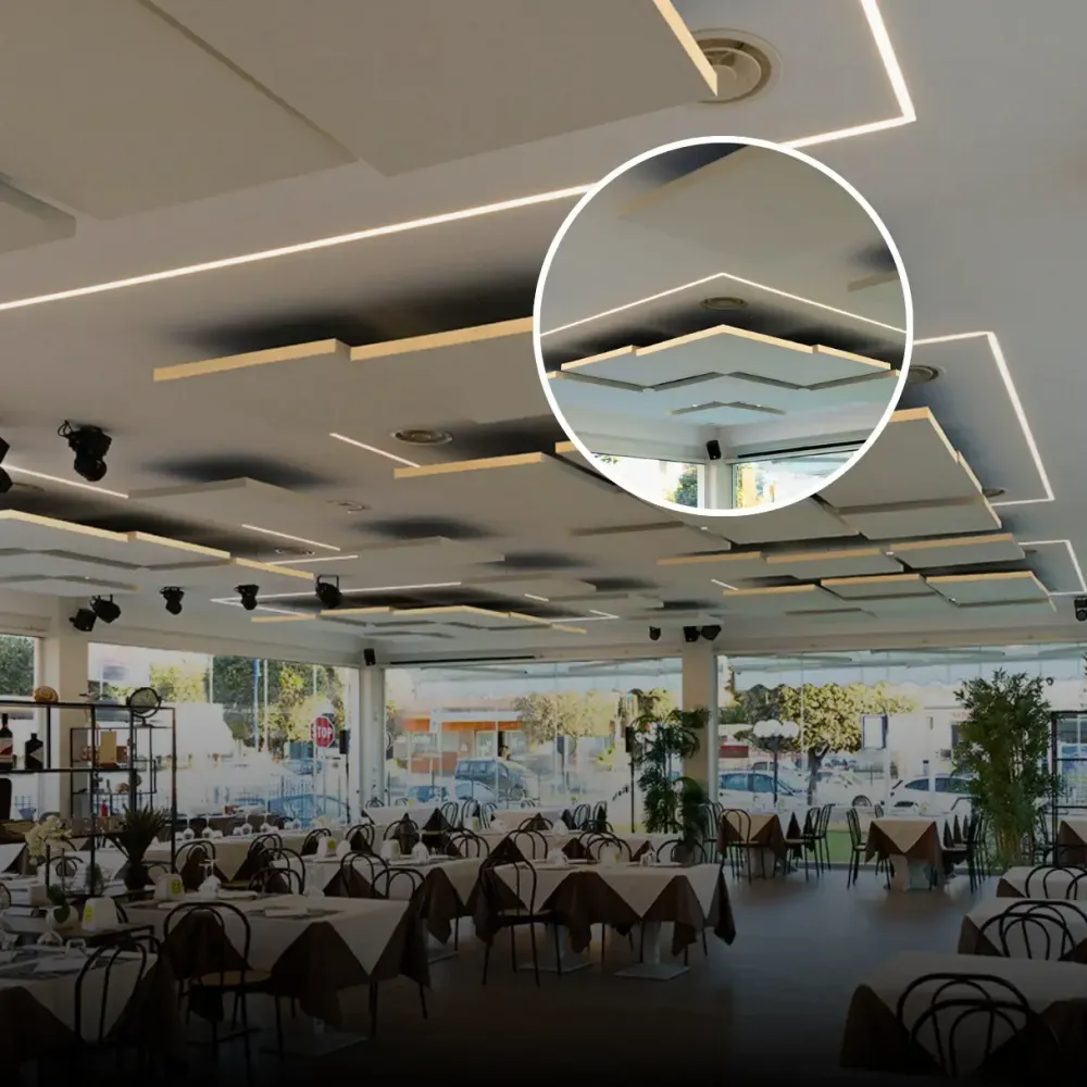 Reducing Noise and Echo in a Restaurant in Anzio