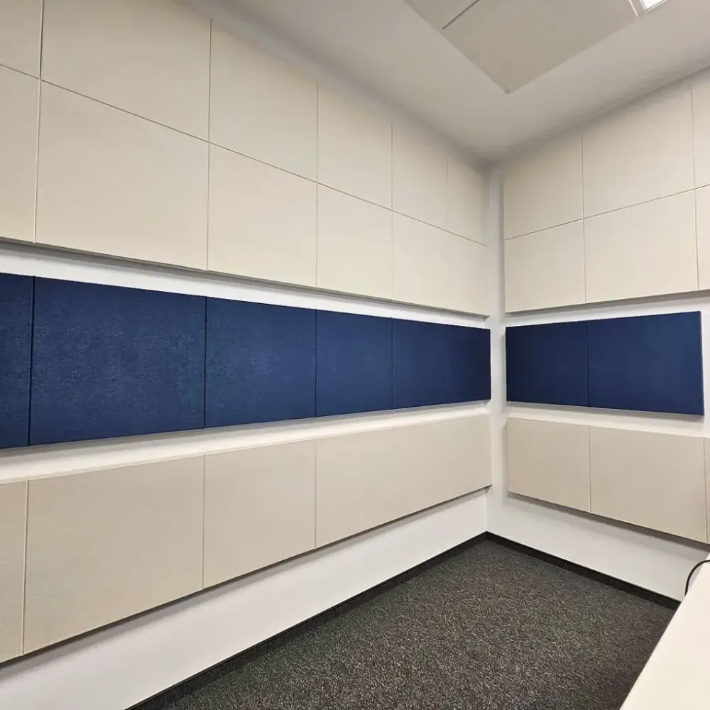 Acoustic Solutions for Multiple Office Spaces