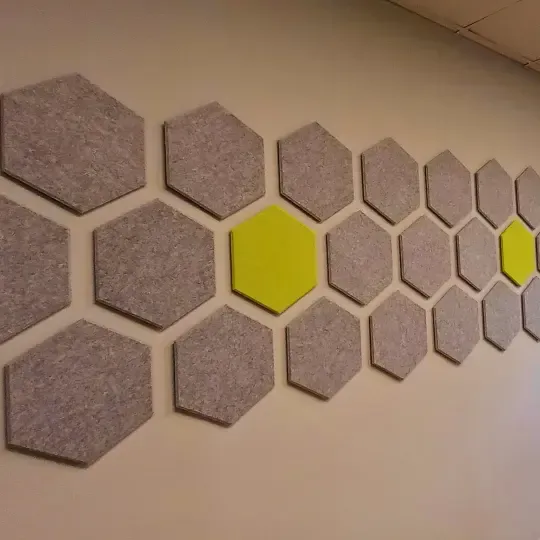 Custom Acoustic Treatment for Client-Centric Office 